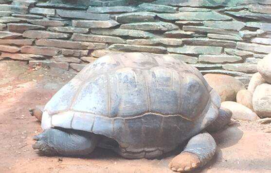 北京豐臺區(qū)記賬公司注冊的所需材料是什么？