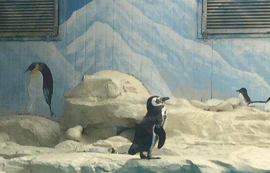 企業(yè)注冊(cè)公司服務(wù)價(jià)格（了解企業(yè)注冊(cè)所需費(fèi)用）